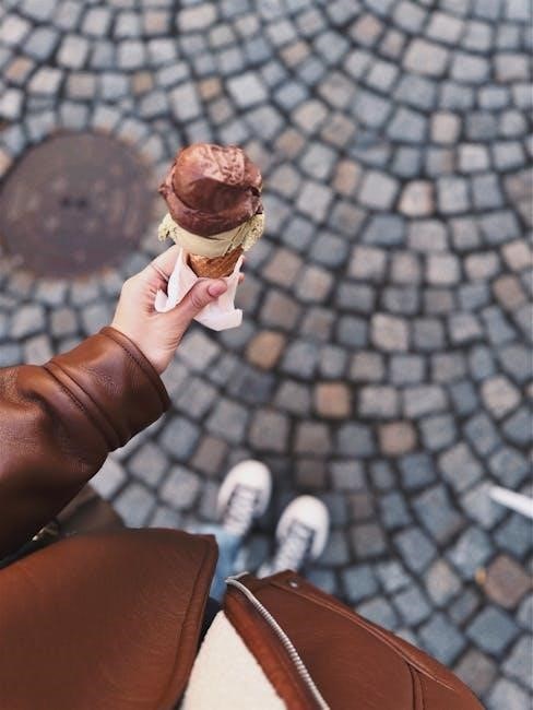 rival ice cream maker user manual